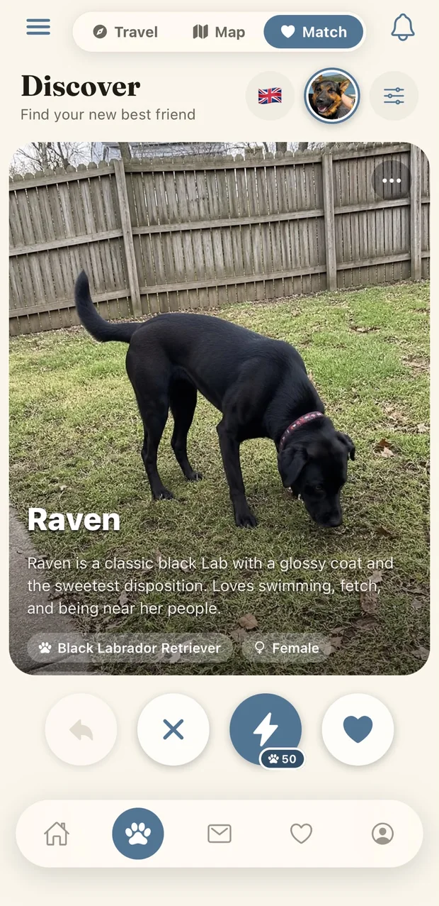 Discover screen — swipe nearby pets