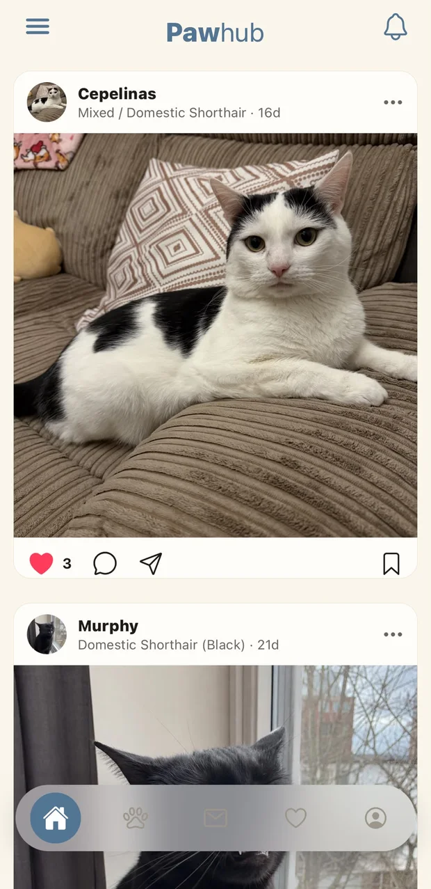 Feed
