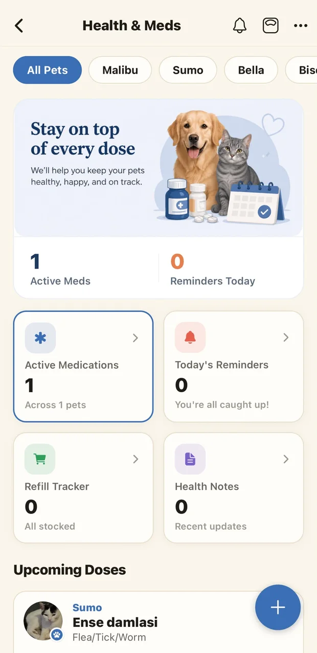 Health screen — medicine tracker