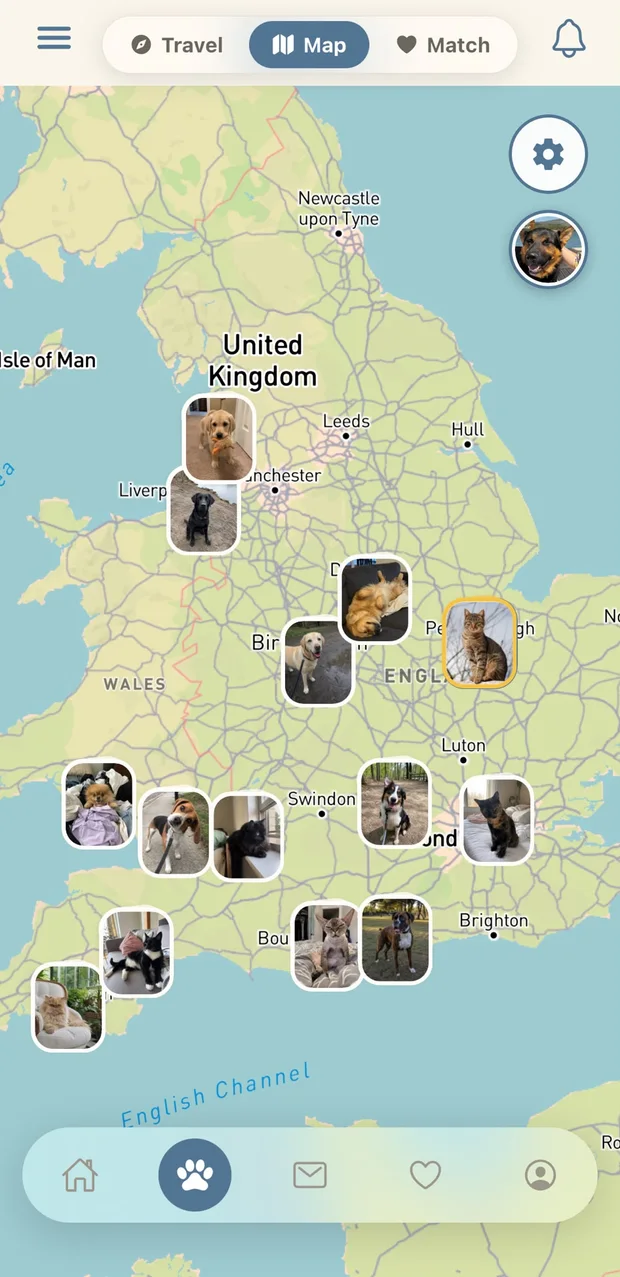 Map screen — pets near you